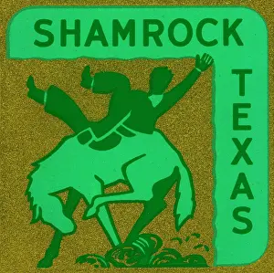 Stylize Prints: Shamrock