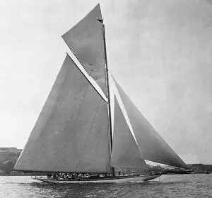 Shamrock IV Sailing