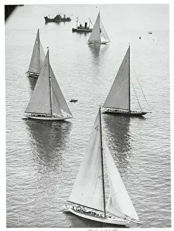 Shamrock Winning Yacht Race