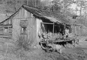 Poor Person Prints: Shanty in Rural Tennessee