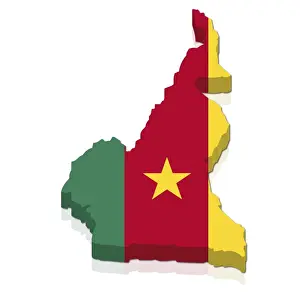 Computer Prints: Shape and national flag of Cameroon, 3D computer graphics