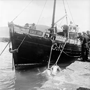 Fishing Boat Prints: Shark Boat