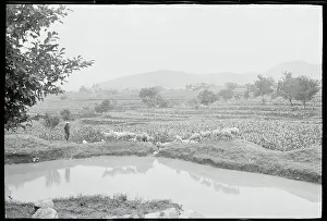 Shashiyu Village in China