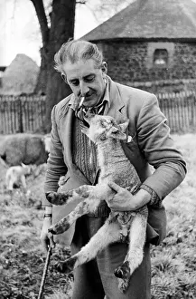 Lamb Prints: Sheep Farmer