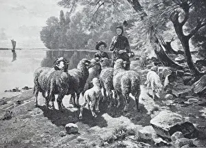 3 People Prints: Sheep on Lake Constance, Germany
