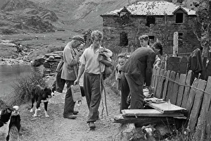 Huty31299 Prints: Sheep Shearing In Snowdonia