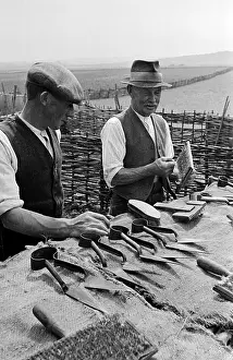 Knife Prints: Sheep Shears