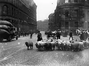 England Format Prints: Sheep Street