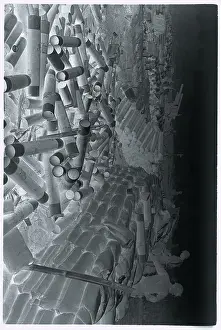 Empty Shell Cases laying on Ground