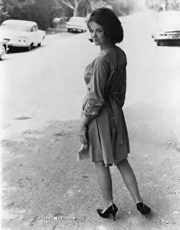 Shelley Fabares Portrait