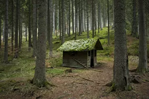 Shelter, hut, in Gauachschlucht gorge in the Black Forest, Baden-Wuerttemberg, Germany, Europe