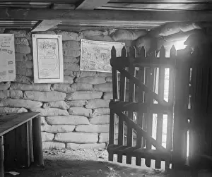 Stealing Prints: Shelter Interior
