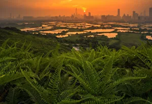 Coolbiere Collection Gallery: Shenzhen skyline looking from hongkong country side