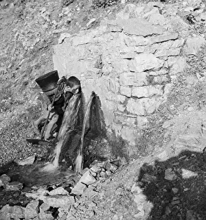 Pre Teen Prints: Shepherd Drinking from Spring