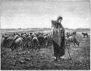 Images Dated 1st January 2000: The shepherdess, Jean Francois Millet
