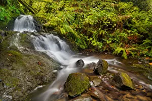 Images Dated 18th September 2016: Shepperds Dell Falls at Columbia River Gorge