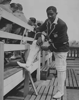 Prints of 10th June 1950: Frank Worrell (1924 - 1967), the West Indian cricketer adjusts his shin pads before going into bat against Cambridge University. Worrell was the first black West Indian Test captain A Photographic Legacy: Shin Pads