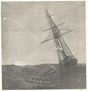 Organization Prints: Ship and Small Vessels in the Ocean