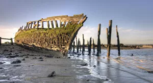 Images Dated 30th July 2012: Ship wreck on Thames shore