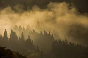 Images Dated 28th April 2016: Mist