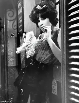 Lac0025 Prints: Shirley MacLaine In Irma La Douce