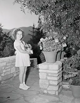 Shirley Temple Holding a Dog