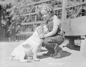 Shirley Temple Petting a Dog