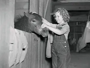 Shirley Temple Petting Her Pony