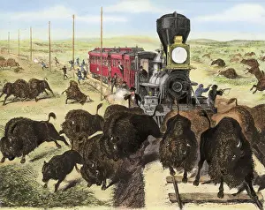 Buffalo Prints: Shooting Buffalo on the Kansas-Pacific Railroad