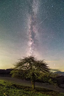 Dramatic Gallery: A shooting star