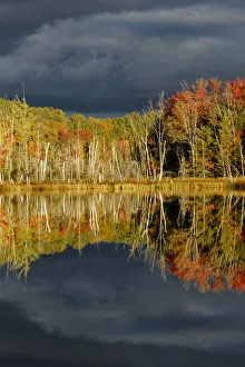 Images Dated 9th May 2016: Shoreline of Red Jack Lake at sunrise, Hiawatha National Forest, Upper Peninsula of Michigan, USA