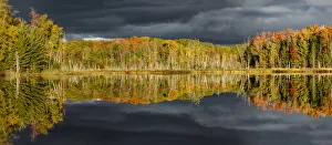Images Dated 9th May 2016: Shoreline of Red Jack Lake at sunrise, Hiawatha National Forest, Upper Peninsula of Michigan, USA