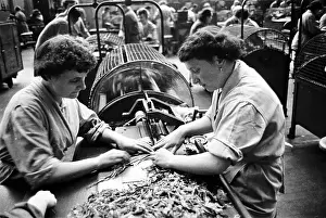 Machine Prints: Shredding Tobacco