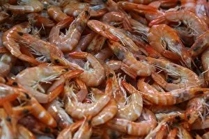 Shrimps on sale at a weekly market, Cannes, French Riviera, France, Europe