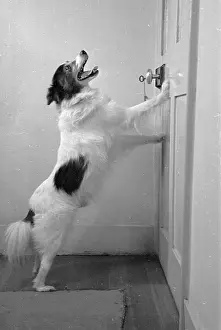 Circus Prints: Shut That Door