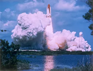 Images Dated 1981: 