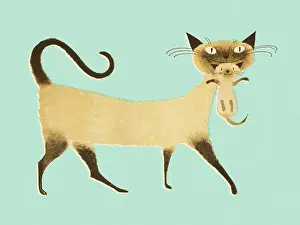 Kitten Prints: Siamese Cat With Kitten