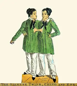 The Siamese Twins, Chang and Eng