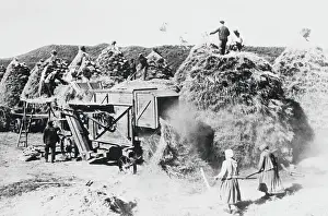 Harvest Prints: Siberian Farmers Working