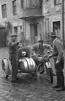 Motorcycle Prints: Sidecar Stray