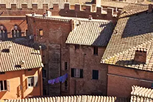Siena