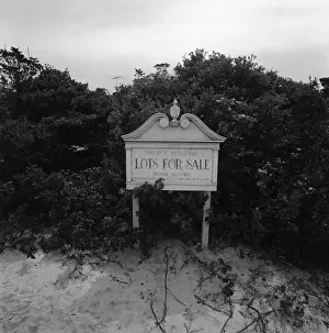 Real Estate Prints: Sign advertising lots for sale