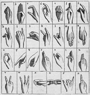 Human Hand Prints: Sign Language Chart