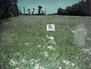 Normandy Prints: Sign Warning of Hidden Field Mines