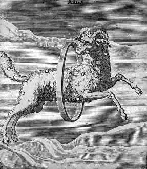 Lamb Prints: Sign Of Zodiac; Aries