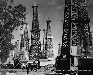 Signal Hill Oil Derricks