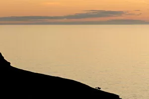 Silhouette of a mountain ridge with sheep in front of the sea, Kalsoy, Norooyar, Faroe Islands, Denmark