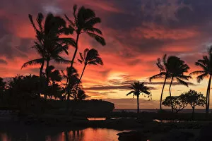 Images Dated 6th December 2011: Silhouette of palm trees against sunset sky, Kauai, Hawaii, USA