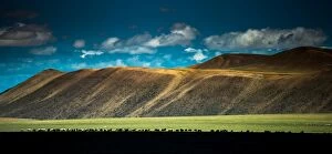 Silhouette sheep herd and Tibetan plateau