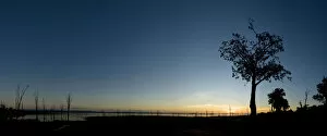 Images Dated 9th March 2010: Silhouette of trees by lake, Matusadona National Park, Lake Kariba, Zimbabwe